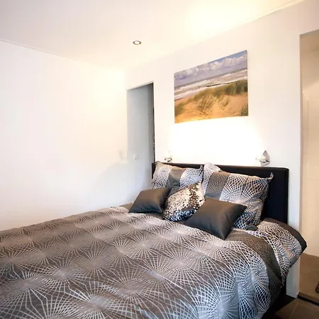 Europarcs Bad Hulckesteijn Tatil parkı 2*